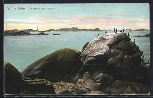 AK Scilly Isles, The Haunt of Sea Birds