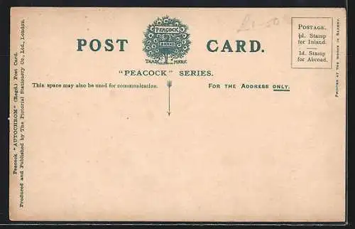 AK Scilly Isles, The Haunt of Sea Birds