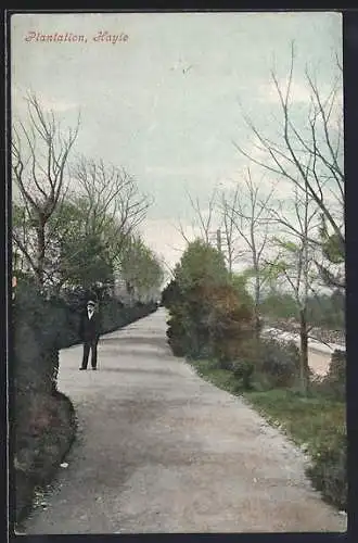 AK Hayle, Plantation