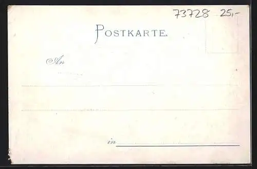 Lithographie Esslingen / Neckar, Gasthaus zur Traube, Burg, Ortsansicht