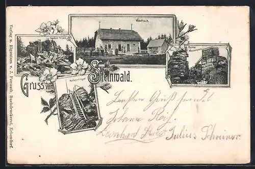 AK Steinwald / Marktredwitz, Waldhaus, Saubad-Felsen, Ruine Weissenstein