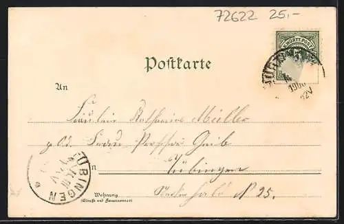 Lithographie Nürtingen, Rathaus, Seminar, Hohen Neuffen