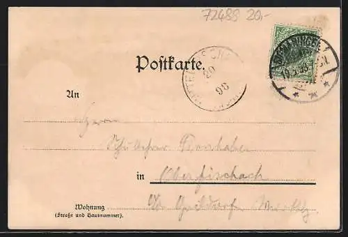 Lithographie Sigmaringen, Hotel zum Löwen v. Hägele, Mausoleum d. Fürsten von Hohenzollern, Ortsansicht