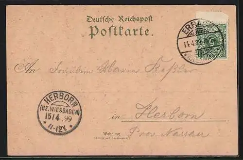 Lithographie Erbach / Odenwald, Jagdschloss, Schloss, Gasthaus zum Odenwald, Totale