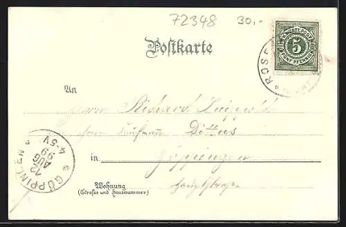 Lithographie Rosenfeld / Württ., Kirche und Gasthof Forsthaus, Rathaus und Apotheke