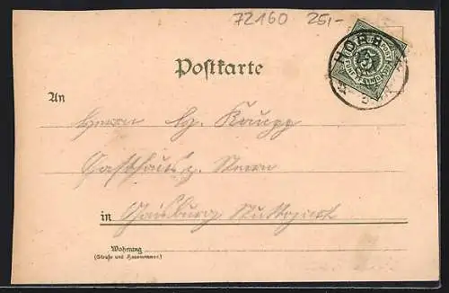Lithographie Horb a. N., Schloss Hohen-Mühringen, Schloss Weitenburg, Marktplatz, Totalansicht
