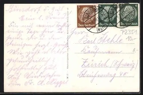 AK Binsdorf, Gasthaus & Metzgerei zur Krone, Strassenpartie, Totalansicht