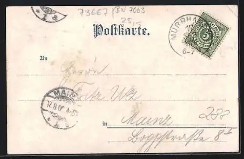Lithographie Ebnisee, Hotel v. A. Ellinger, Schweizerhaus am See, Panorama
