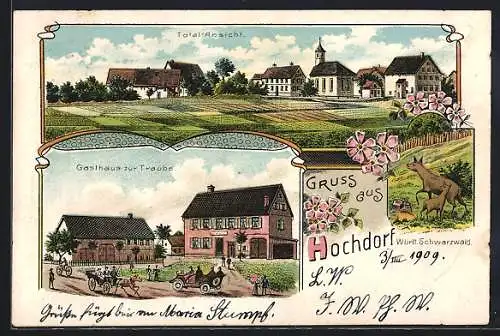 Lithographie Hochdorf / Horb, Gasthaus zur Traube, Totalansicht