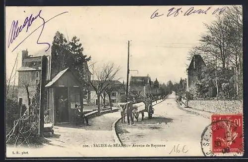 AK Salies-de-Béarn, Avenue de Bayonne