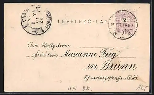 AK Budapest, Infanterie-Cadettenschule, Turnhof