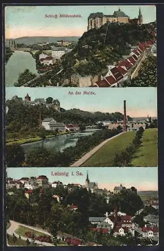 AK Leisnig, Ortsansicht, An der Mulde, Schloss Mildenstein
