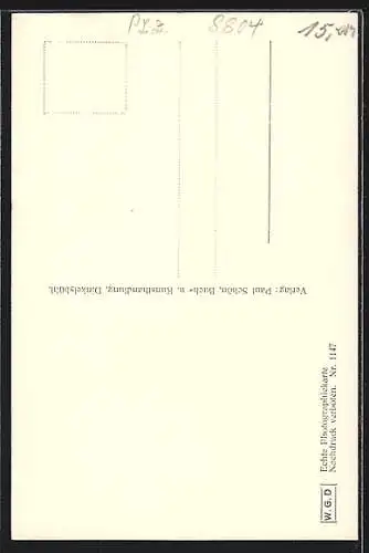 AK Dinkelsbühl, Segringer Tor mit Koppenschild