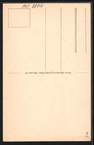 AK Dinkelsbühl, Partie an der Segringerstrasse