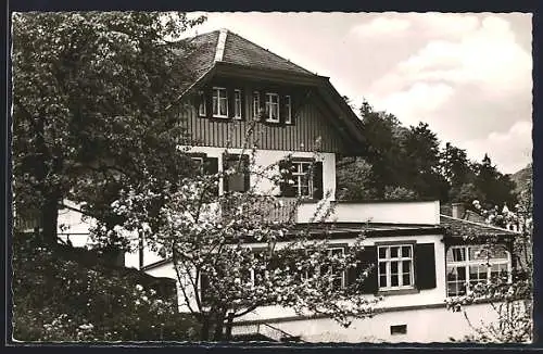 AK Waldkirch i. Br., Gasthaus und Pension Felsenkeller, Inh. Albert Disch