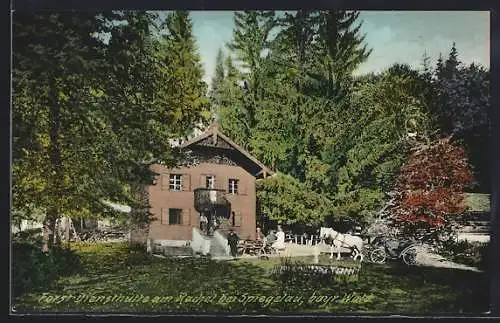 AK Spiegelau /bayr. Wald, Forst Diensthütte am Rachel