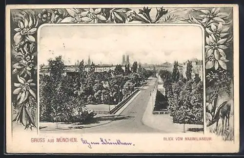 AK München, Blick vom Maximilianeum, Edelweiss-Rahmen
