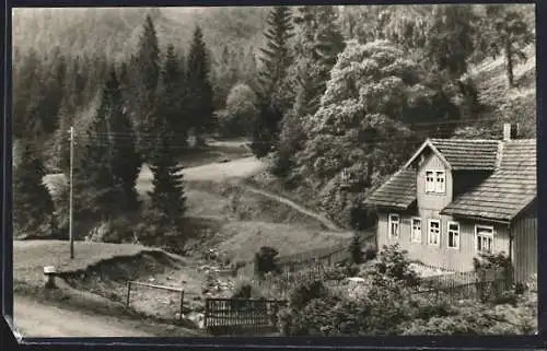 AK Steinheid /Thür. Wald, Neumannsgrund mit Holzhaus