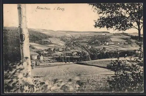 AK Kemtau i. Erzgeb., Ortsansicht mit Feldern
