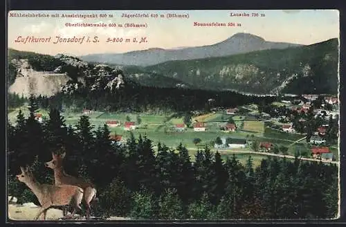 AK Jonsdorf i. S., Ortsansicht mit Rehen