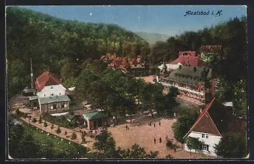 AK Alexisbad i. H., Ortsansicht mit Passanten aus der Vogelschau