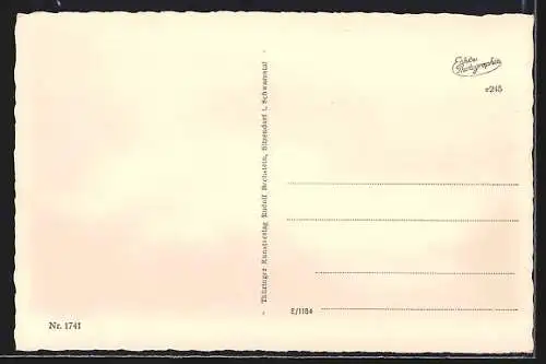 AK Ilmenau, Ortspartie am Berg mit Festhalle