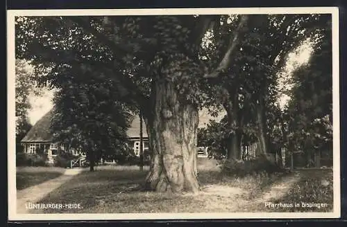AK Bispingen /Lüneburger-Heide, Blick auf das Pfarrhaus