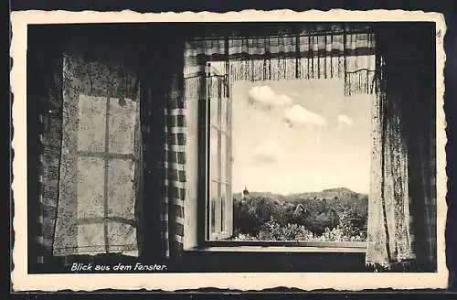 AK Bispingen /Lüneburger Heide, Pension Wacholderhof, Blick aus dem Fenster