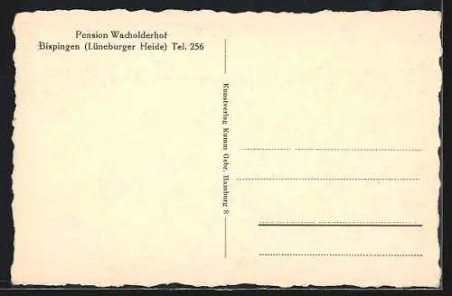 AK Bispingen /Lüneburger Heide, Pension Wacholderhof, Blick aus dem Fenster