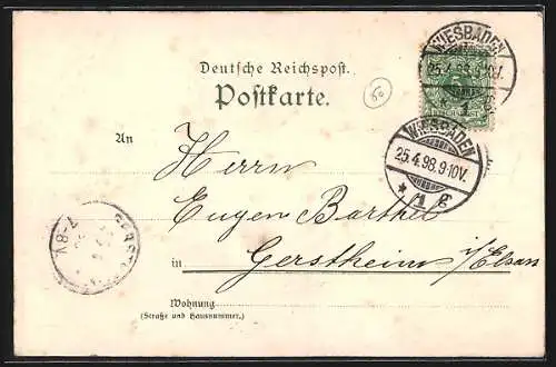 Lithographie Wiesbaden, Königl. Hoftheater, Kathol. Kirche, Blick vom Neroberg