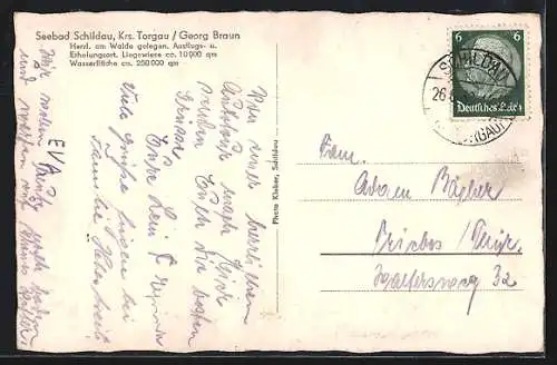 AK Schildau /Torgau, Seebad am Wald, Bes. Georg Braun, 