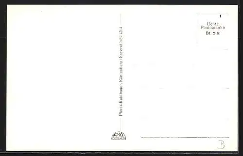 AK Rothenfels a. M., Ansicht des Orts mit Burg