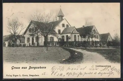 AK Bergzabern, Hund am Weg zu Liebfrauenberg