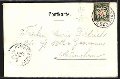 AK Nürnberg, Blick vom Hallerthor