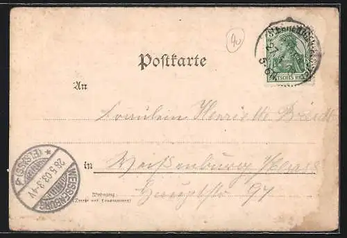 AK Allerheiligen /Schwarzwald, Kurhäuser mit Anlage, Ruine