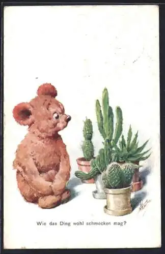 AK Wie das Ding wohl schmecken mag?, Teddybär mit Kakteen in Töpfen