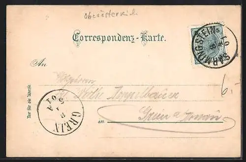 AK Sarmingstein, Ortsansicht und Flusspartie mit Dampfer aus der Vogelschau
