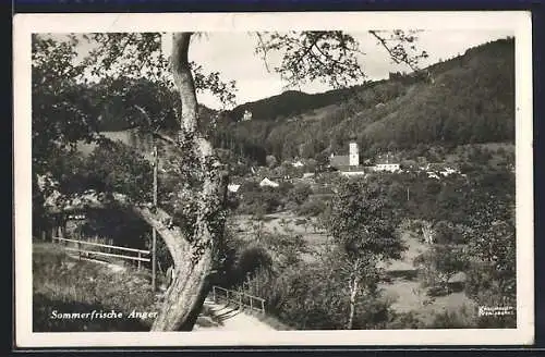 AK Anger, Ortsansicht aus der Vogelschau