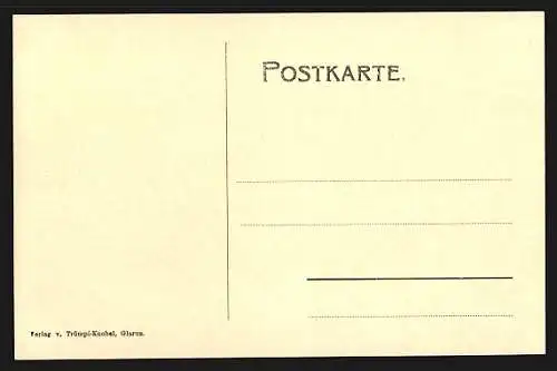 AK Weesen, Ortsansicht mit Leistkamm und Alvierkette