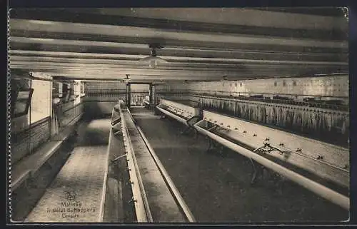 AK Malines, Institut Scheppers, Lavoirs
