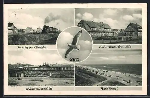 AK Rantum, Seeheim Alt-Rantum, Wirtschaftsgebäude, Badestrand, Haus Altona und Köln, Möwe