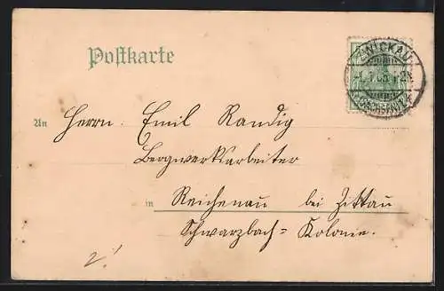 Lithographie Zwickau / Sachsen, Schwanenschloss mit Schwäne und Fontaine