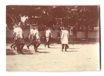 16 Fotografien unbekannter Fotograf, Ansicht Wien, Kaiser Huldigungs-Festzug 1908 zum 60 jährigen Regierungsjubiläum