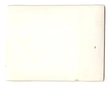 16 Fotografien unbekannter Fotograf, Ansicht Wien, Kaiser Huldigungs-Festzug 1908 zum 60 jährigen Regierungsjubiläum