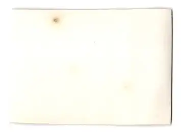 16 Fotografien unbekannter Fotograf, Ansicht Wien, Kaiser Huldigungs-Festzug 1908 zum 60 jährigen Regierungsjubiläum