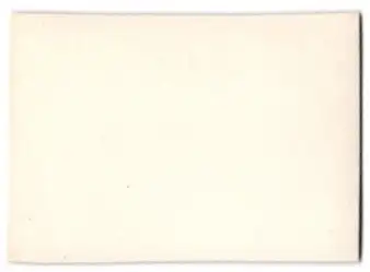 16 Fotografien unbekannter Fotograf, Ansicht Wien, Kaiser Huldigungs-Festzug 1908 zum 60 jährigen Regierungsjubiläum