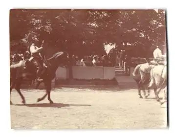 16 Fotografien unbekannter Fotograf, Ansicht Wien, Kaiser Huldigungs-Festzug 1908 zum 60 jährigen Regierungsjubiläum