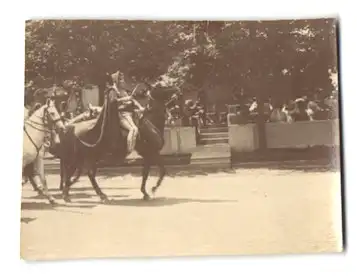 16 Fotografien unbekannter Fotograf, Ansicht Wien, Kaiser Huldigungs-Festzug 1908 zum 60 jährigen Regierungsjubiläum