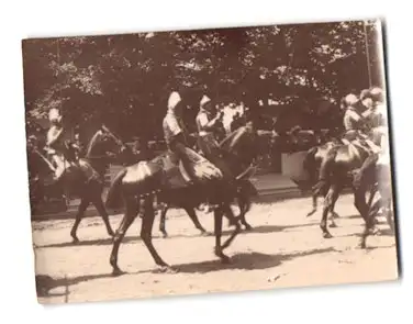 16 Fotografien unbekannter Fotograf, Ansicht Wien, Kaiser Huldigungs-Festzug 1908 zum 60 jährigen Regierungsjubiläum