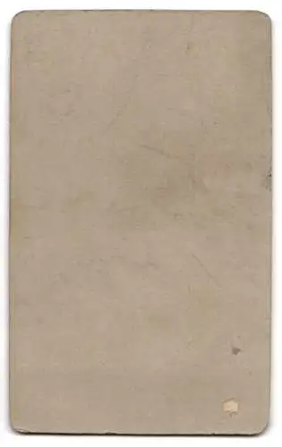 Fotografie R. Tamme, Dresden, Ansicht Weimar, Schiller Büste von J. Heinrich Dannecker in der Gr. Hrzgl. Bibliothek